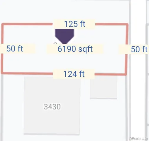 a view of a forest with large trees