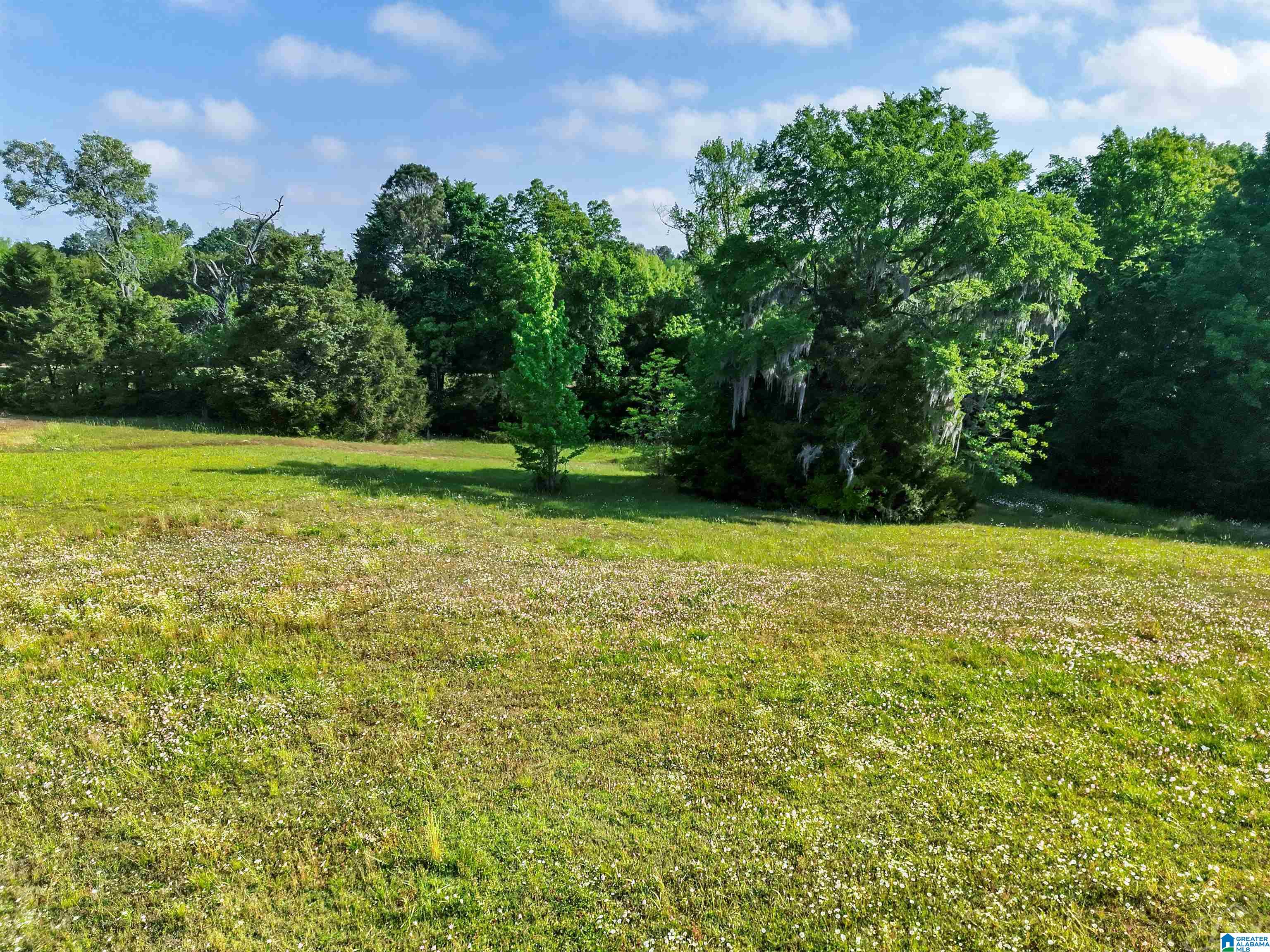 80 Brady Road, Unit 1 Hope Hull, AL 36043 - Photo 5 of 20