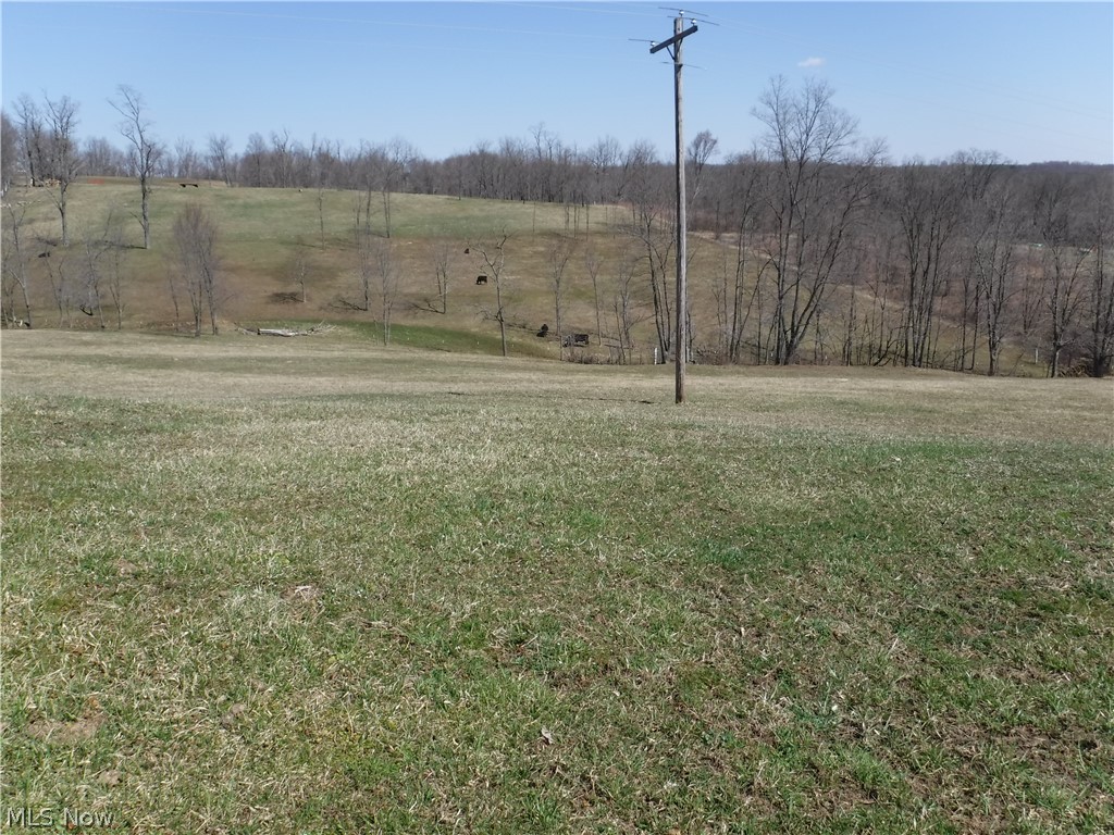 541 State Road Walhonding, OH 43843 - Photo 3 of 4