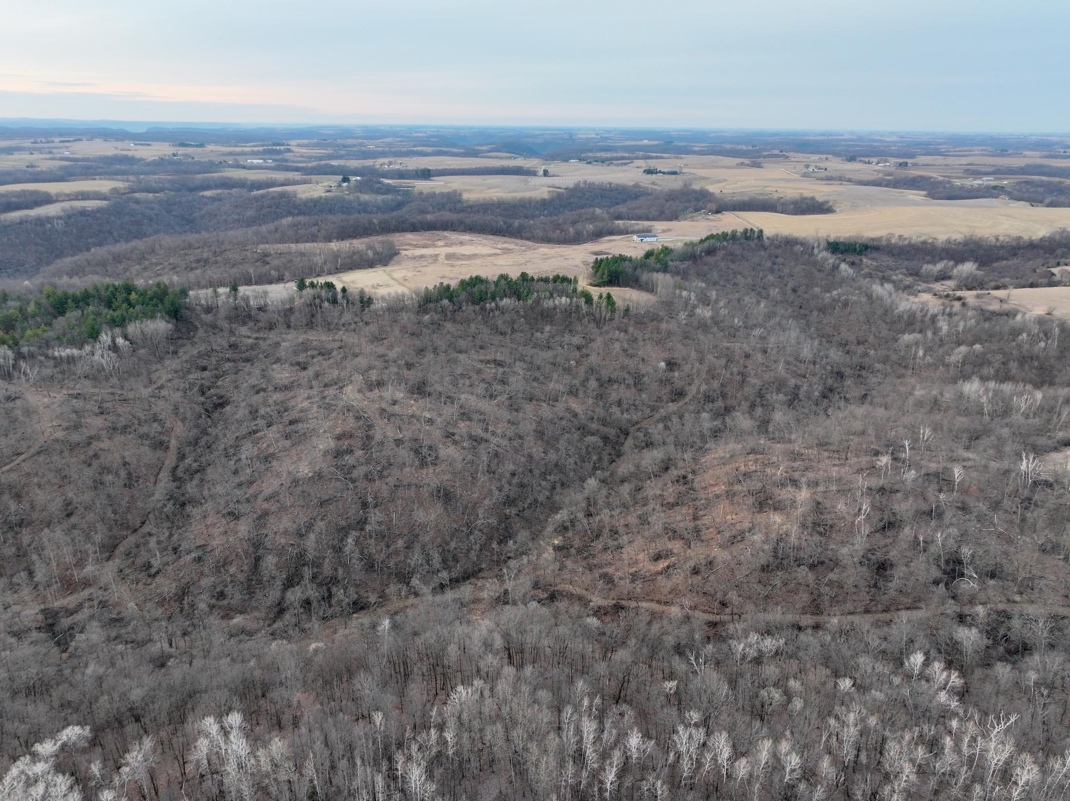 11719 Ridgeview Road Hokah, MN 55941 - Photo 46 of 100