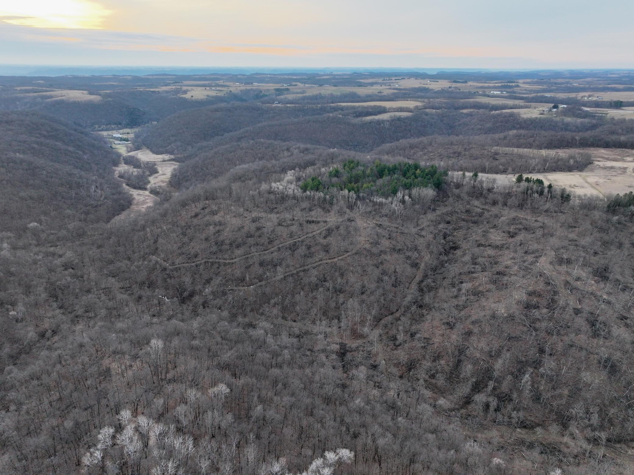 11719 Ridgeview Road Hokah, MN 55941 - Photo 47 of 100