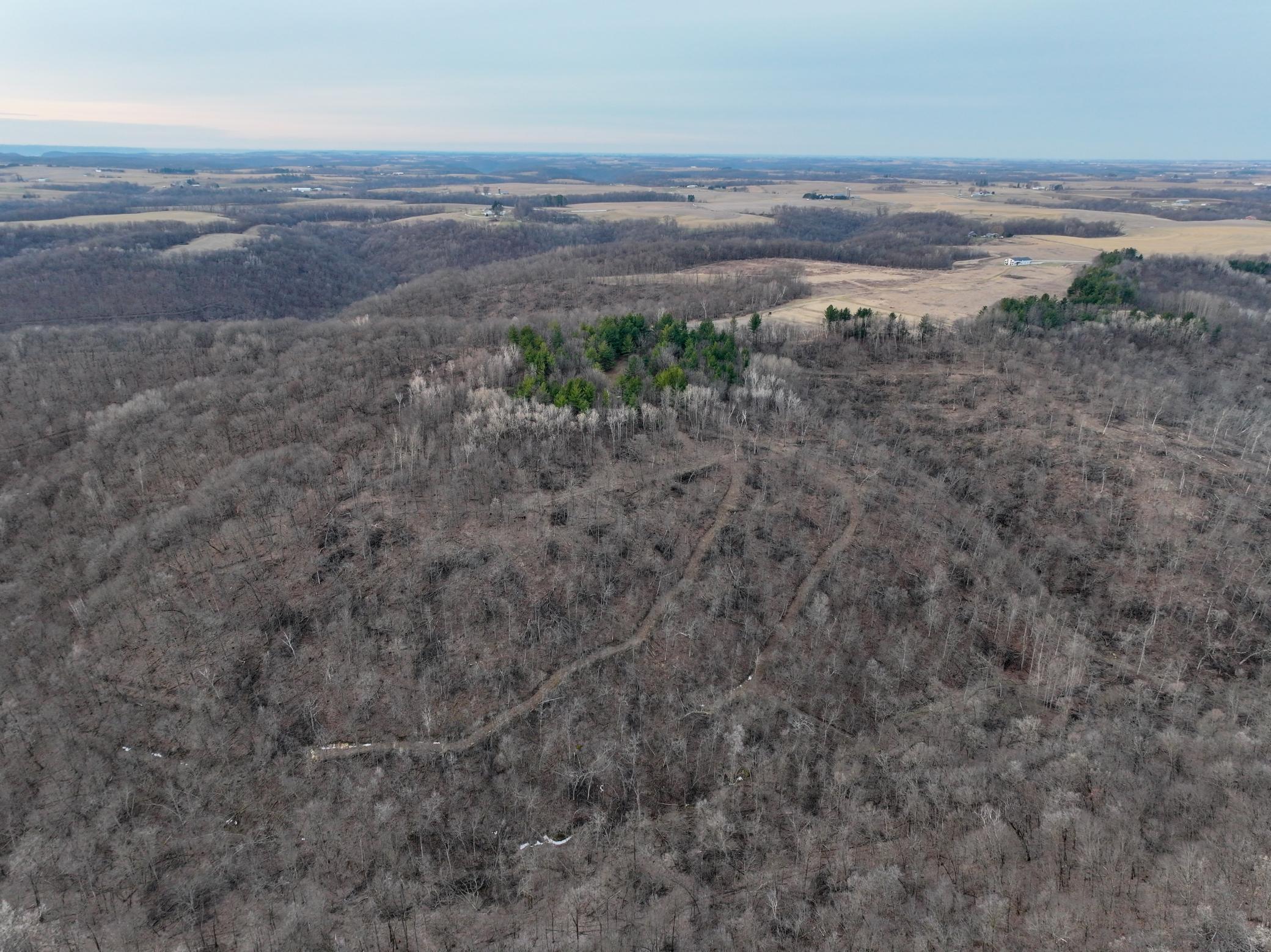 11719 Ridgeview Road Hokah, MN 55941 - Photo 48 of 100