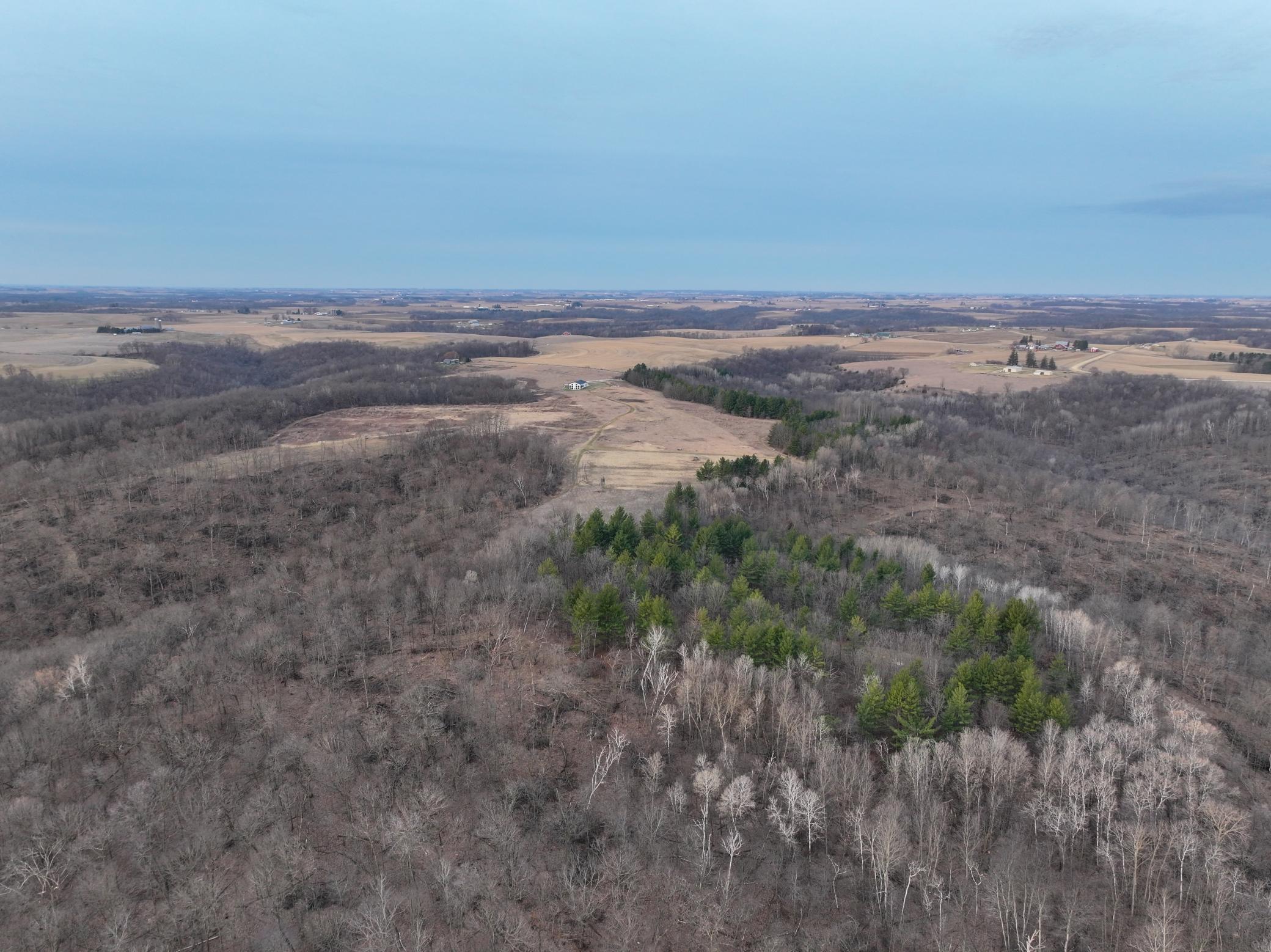 11719 Ridgeview Road Hokah, MN 55941 - Photo 49 of 100