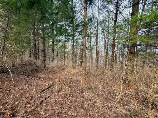 $2,000,000 | 11719 Ridgeview Road, Hokah, MN 55941