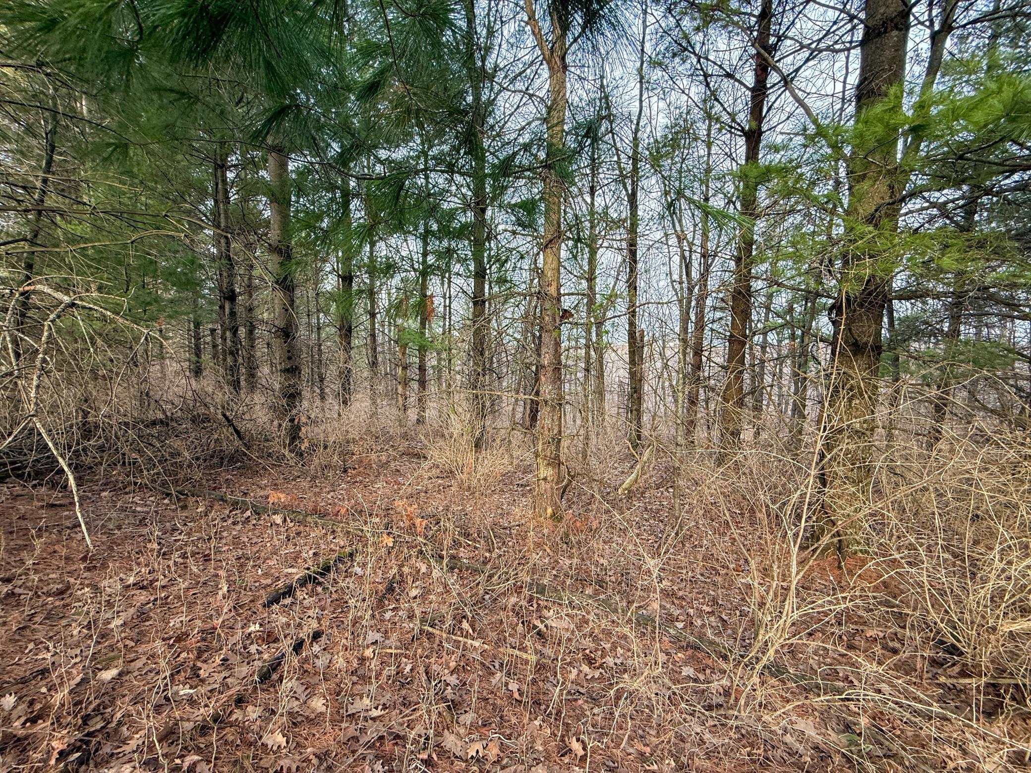 11719 Ridgeview Road Hokah, MN 55941 - Photo 60 of 100