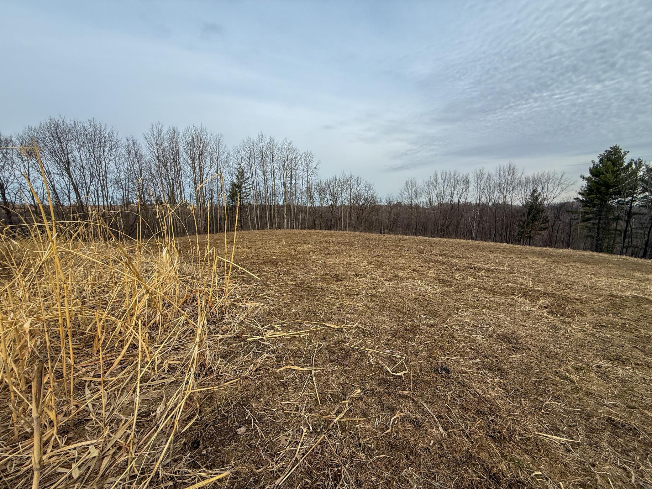 11719 Ridgeview Road Hokah, MN 55941 - Photo 61 of 100