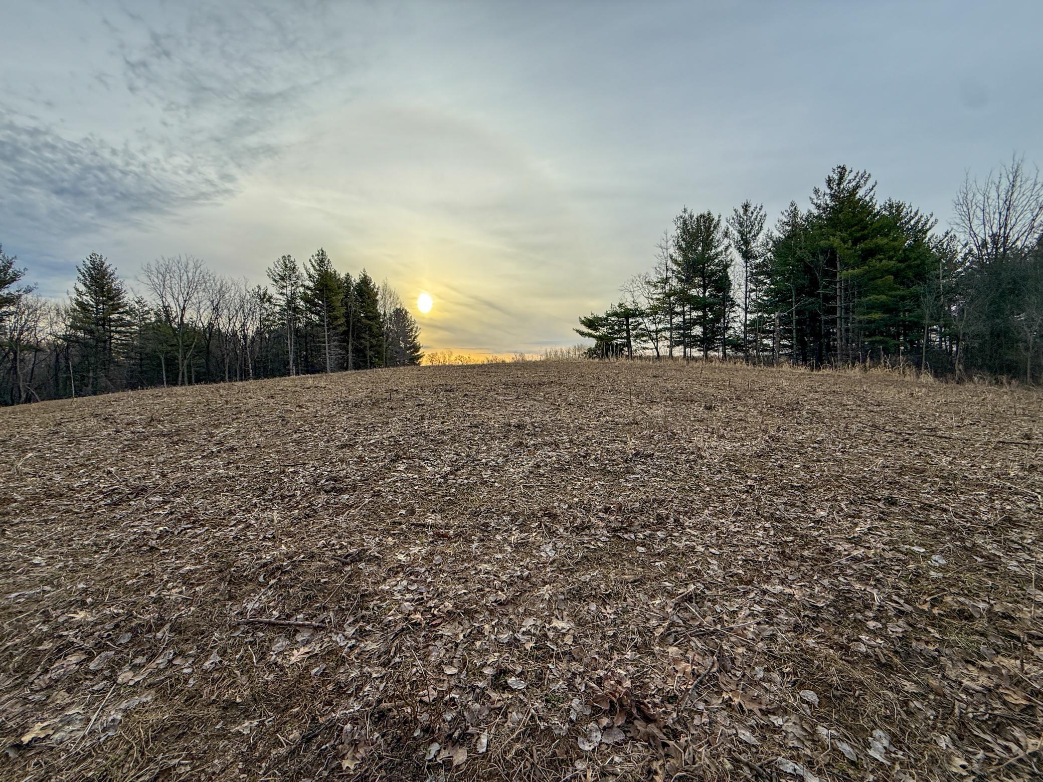 11719 Ridgeview Road Hokah, MN 55941 - Photo 62 of 100