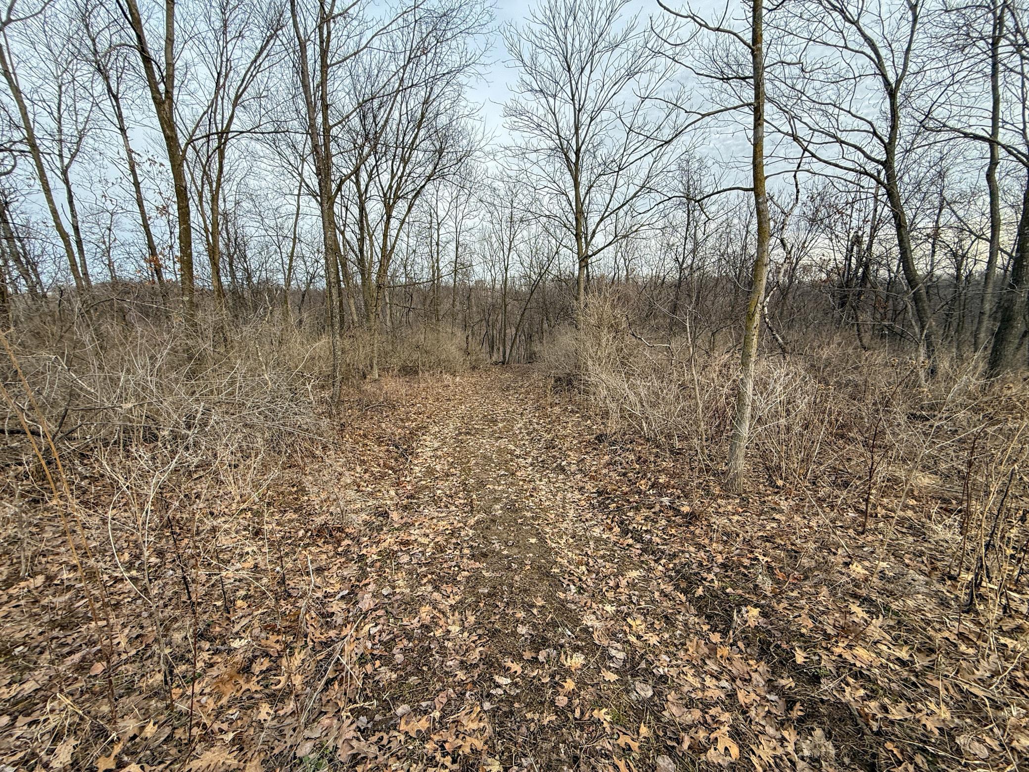 11719 Ridgeview Road Hokah, MN 55941 - Photo 63 of 100