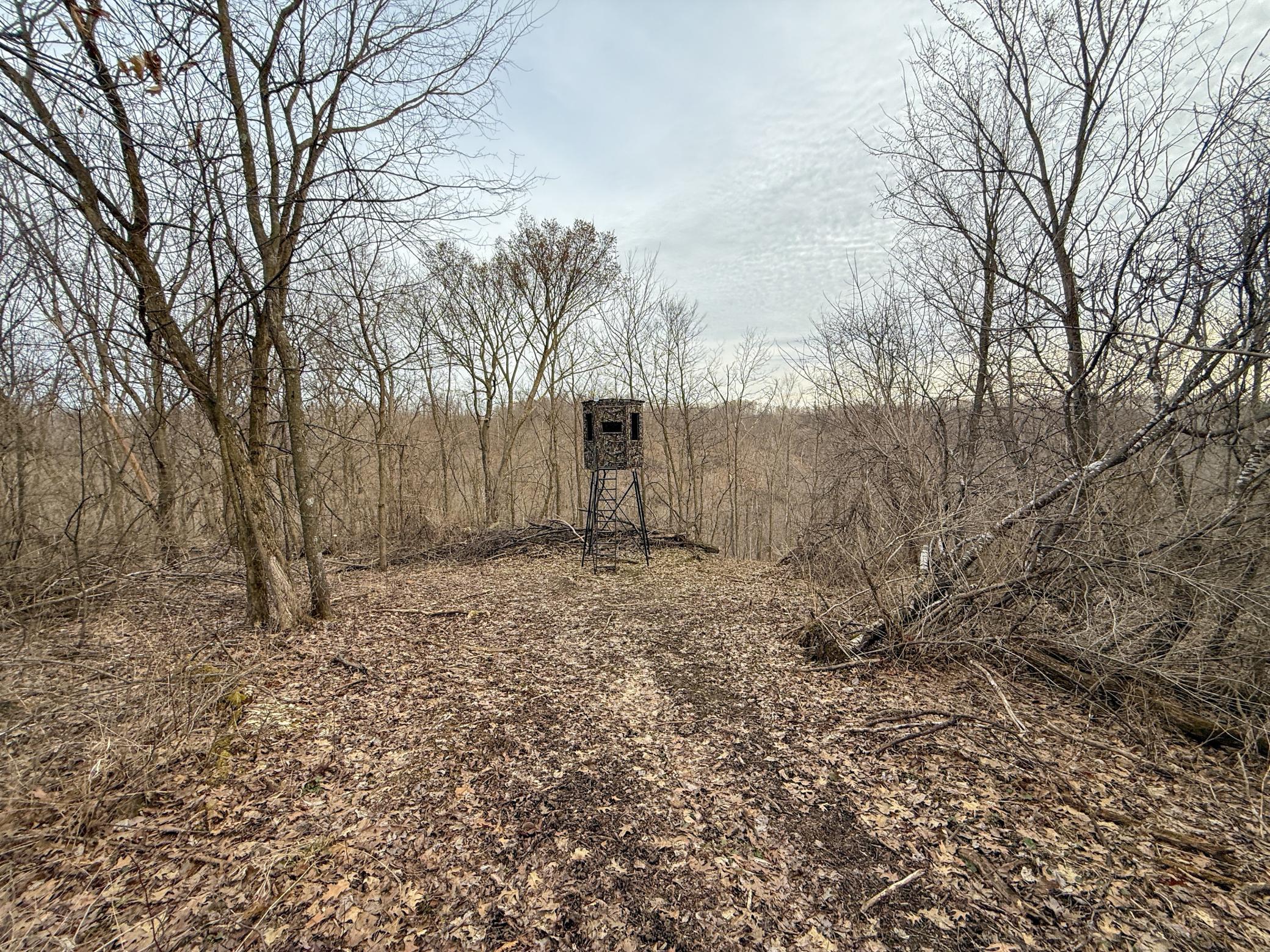 11719 Ridgeview Road Hokah, MN 55941 - Photo 64 of 100