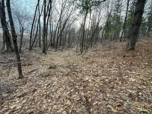 $2,000,000 | 11719 Ridgeview Road, Hokah, MN 55941