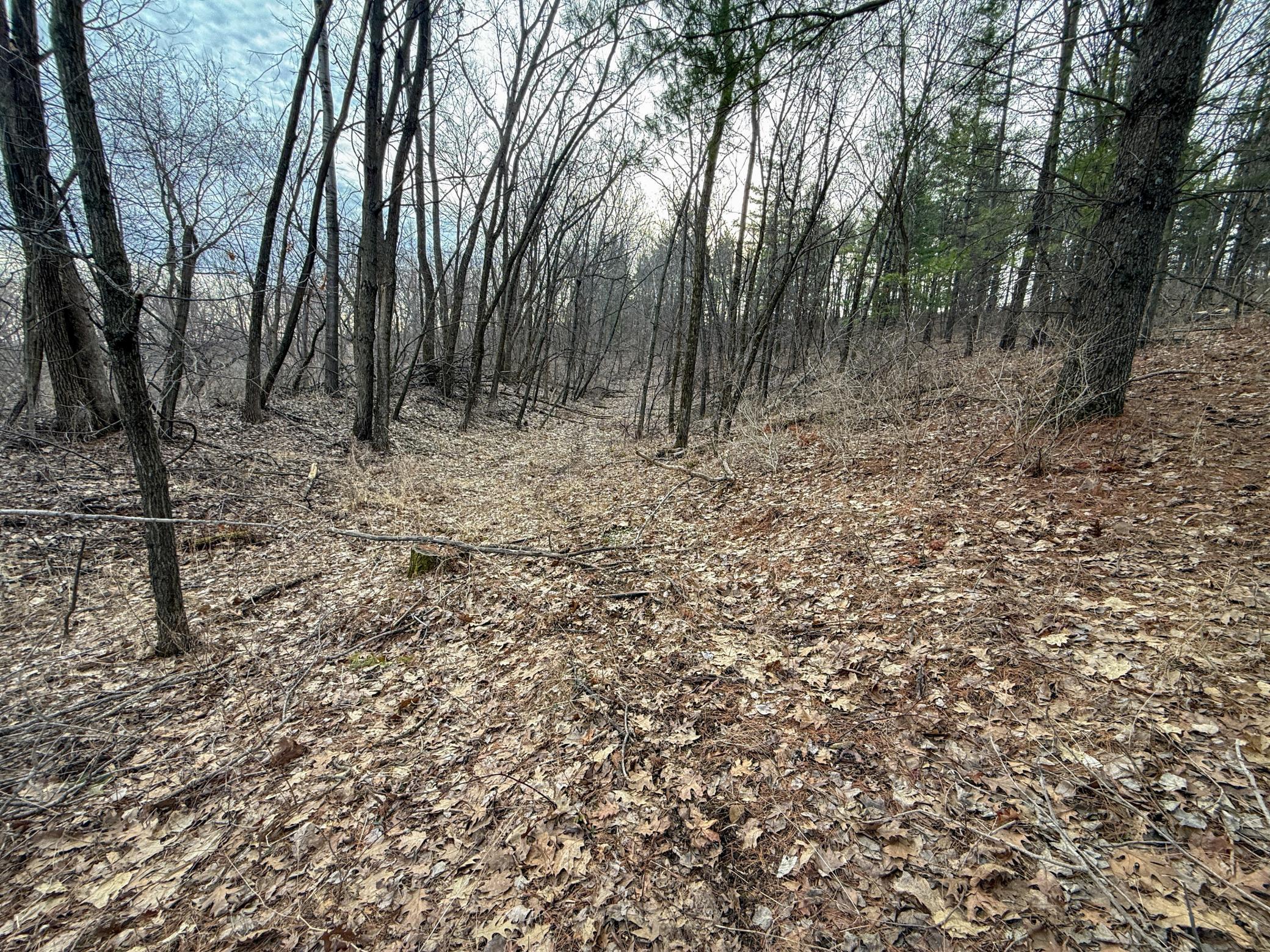 11719 Ridgeview Road Hokah, MN 55941 - Photo 65 of 100