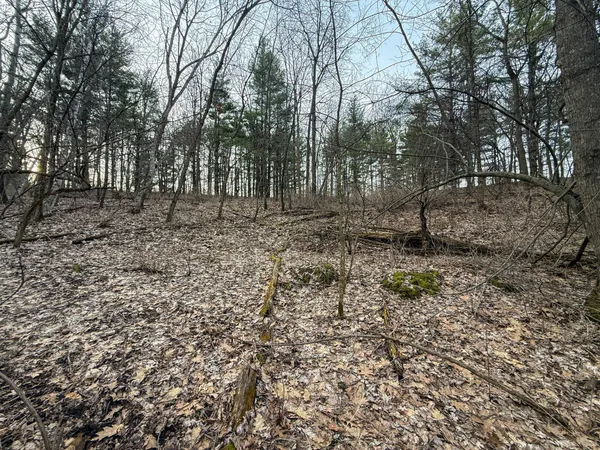 $2,000,000 | 11719 Ridgeview Road, Hokah, MN 55941