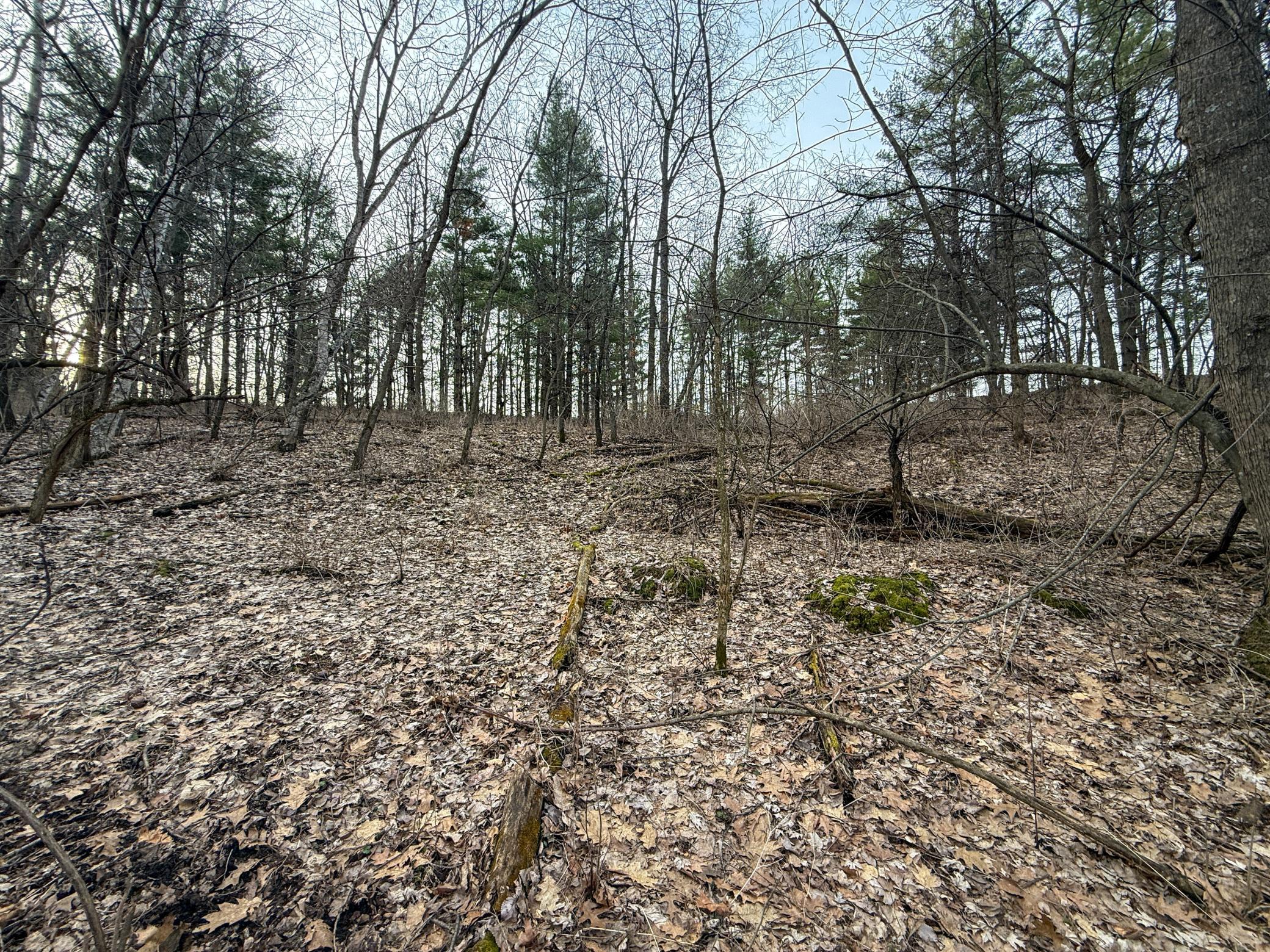 11719 Ridgeview Road Hokah, MN 55941 - Photo 66 of 100