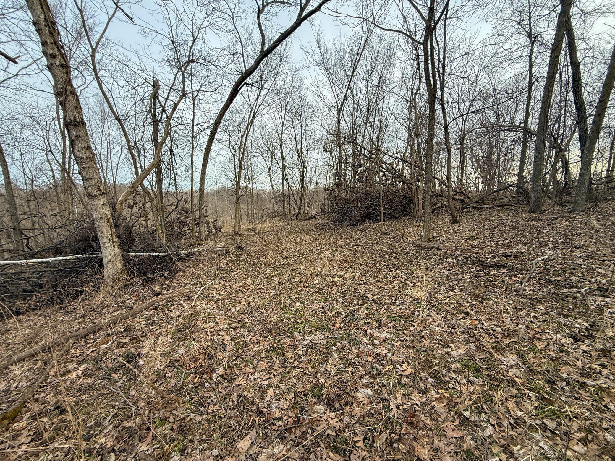 11719 Ridgeview Road Hokah, MN 55941 - Photo 67 of 100