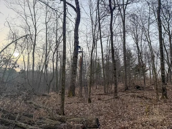 $2,000,000 | 11719 Ridgeview Road, Hokah, MN 55941