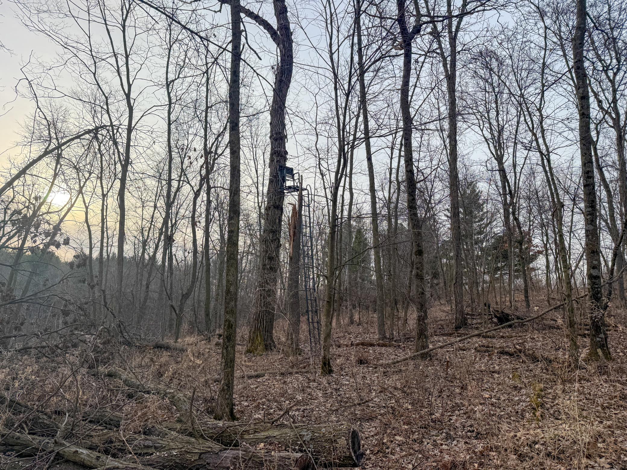 11719 Ridgeview Road Hokah, MN 55941 - Photo 69 of 100