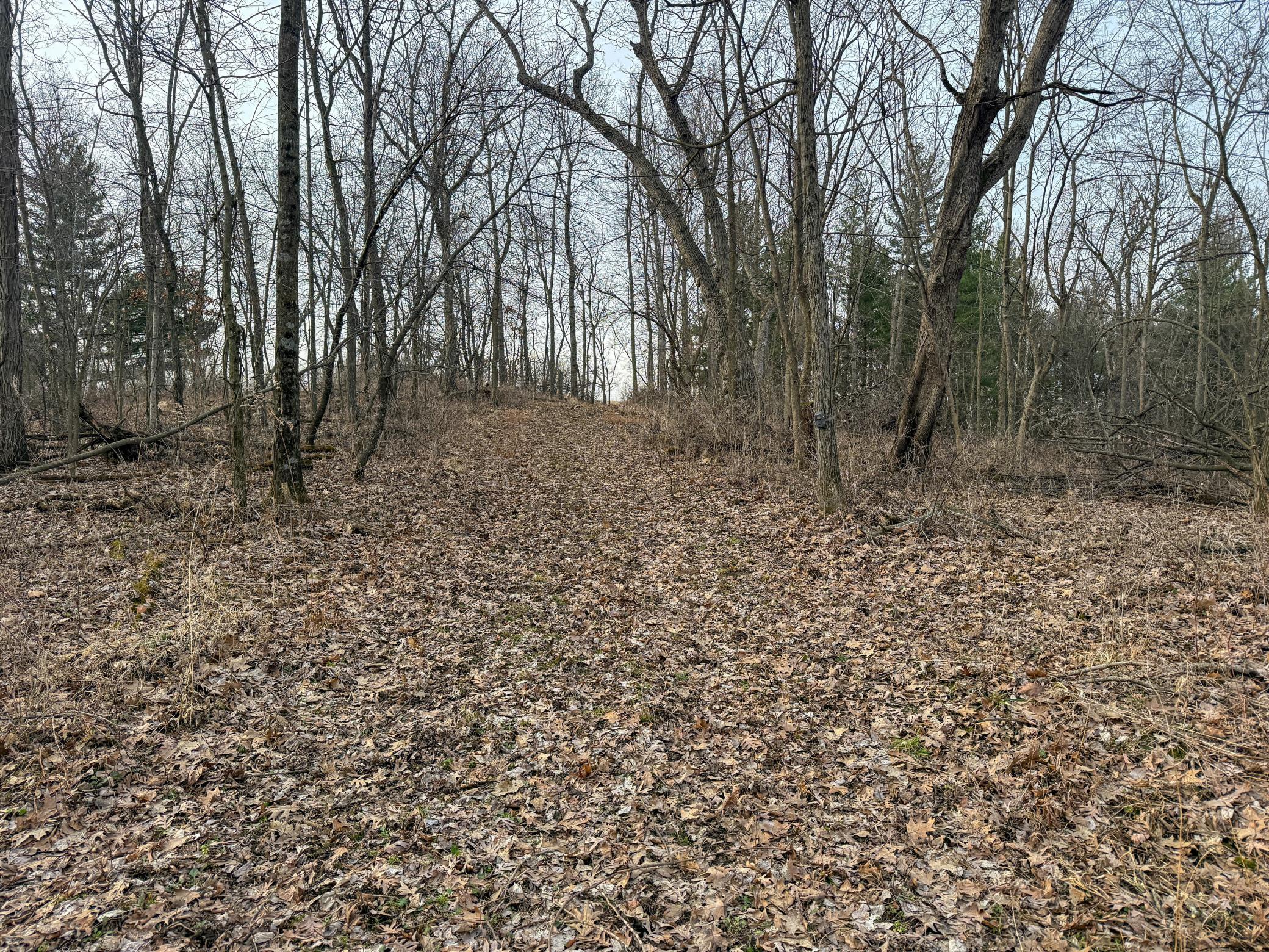 11719 Ridgeview Road Hokah, MN 55941 - Photo 70 of 100