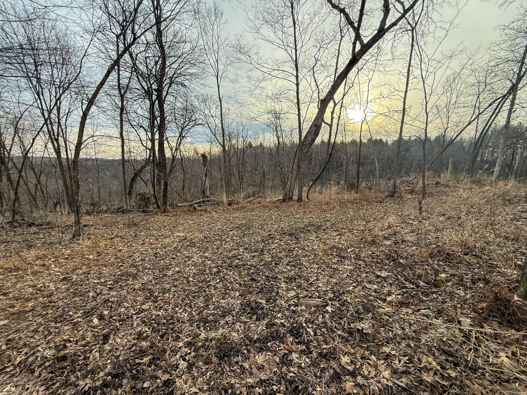 11719 Ridgeview Road Hokah, MN 55941 - Photo 71 of 100