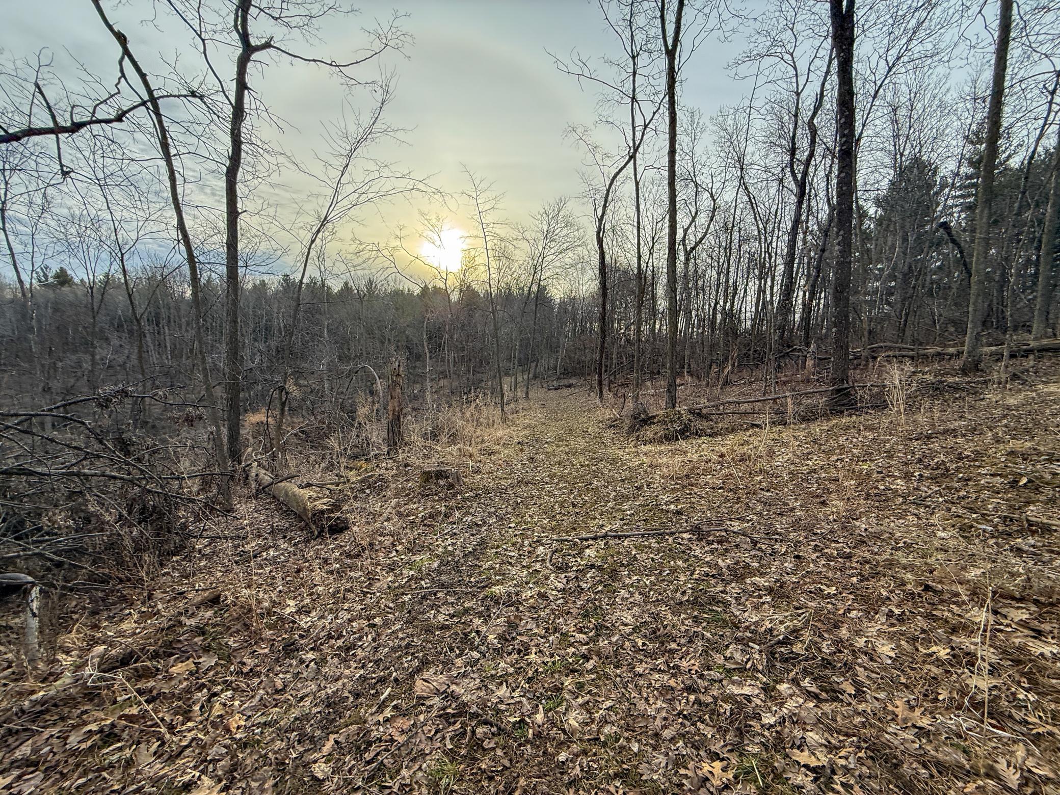 11719 Ridgeview Road Hokah, MN 55941 - Photo 72 of 100