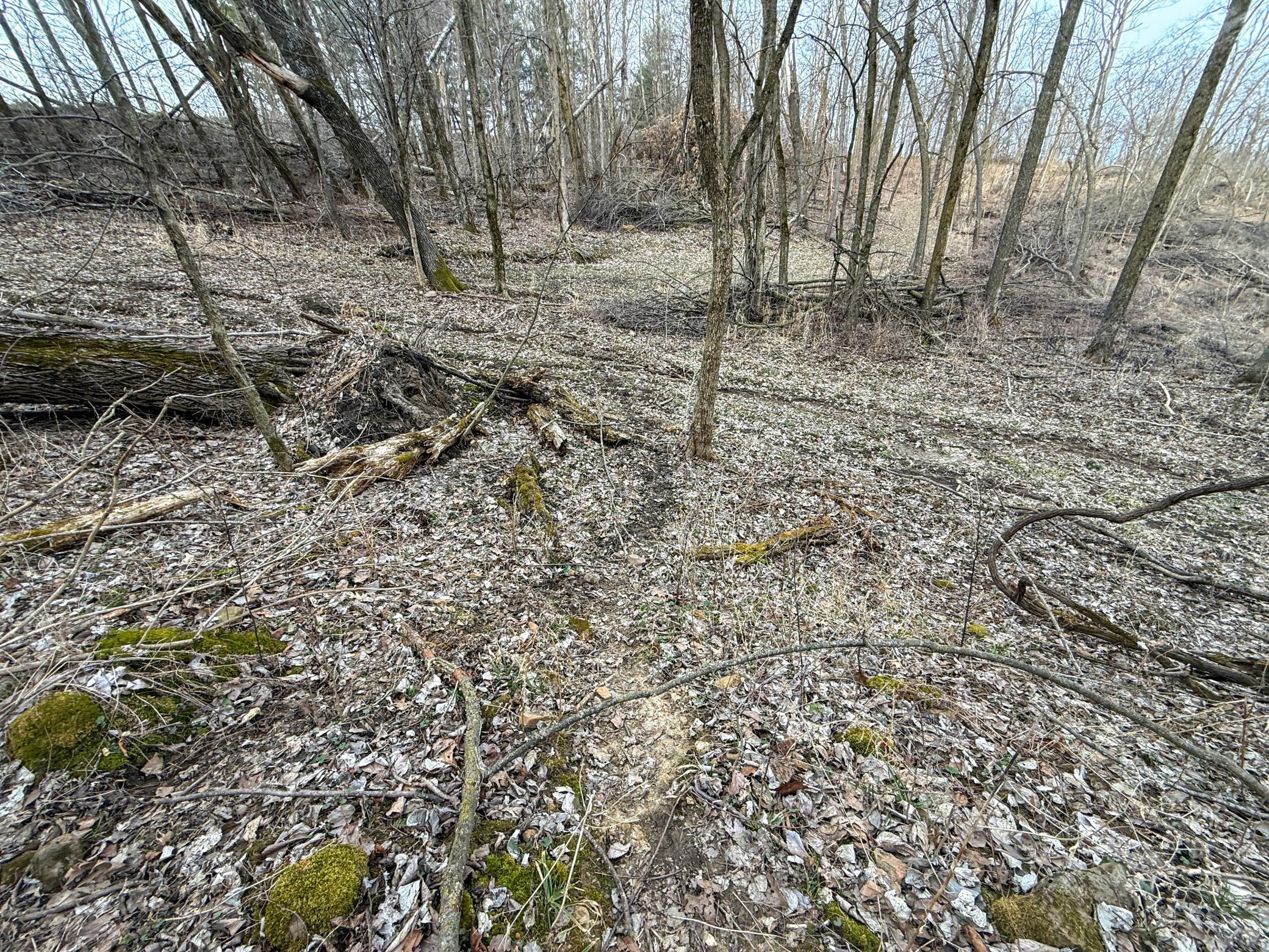 11719 Ridgeview Road Hokah, MN 55941 - Photo 73 of 100