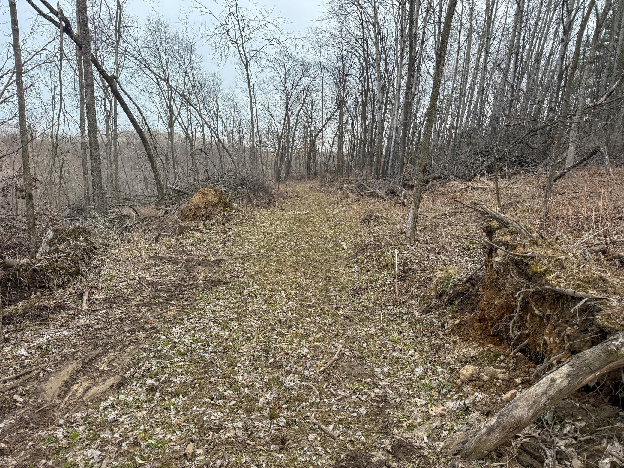 11719 Ridgeview Road Hokah, MN 55941 - Photo 74 of 100