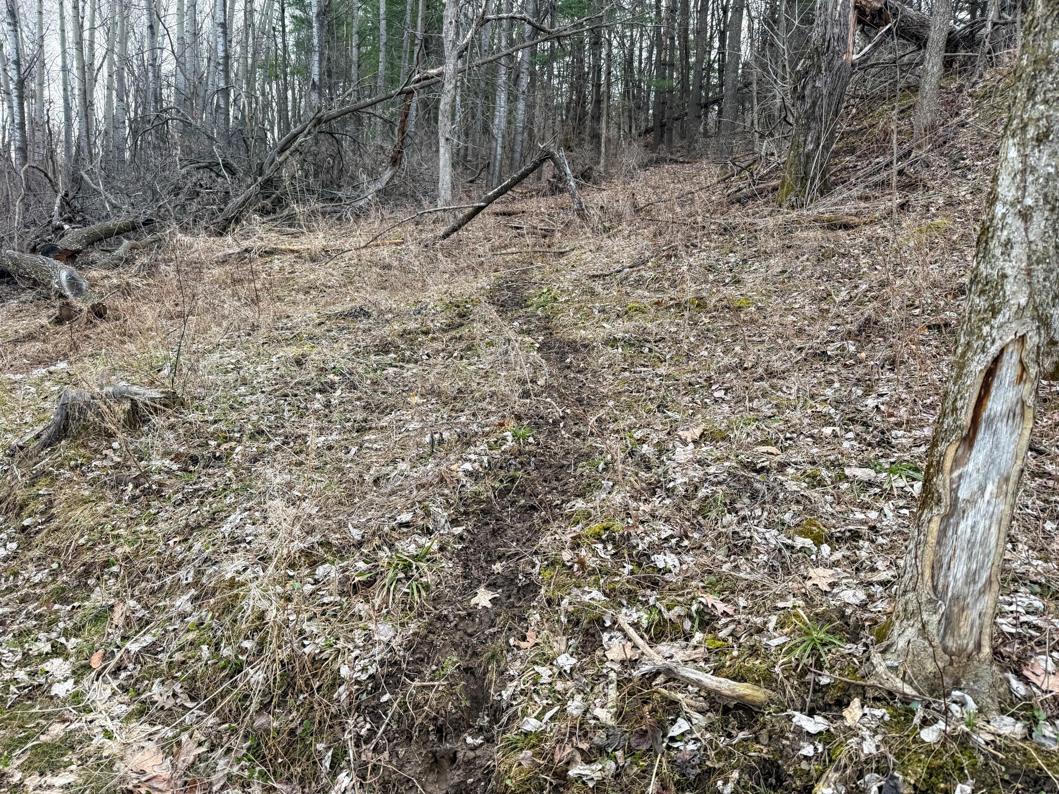 11719 Ridgeview Road Hokah, MN 55941 - Photo 75 of 100