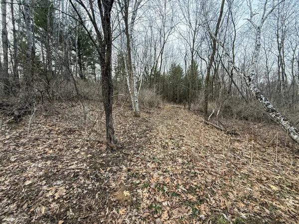 $2,000,000 | 11719 Ridgeview Road, Hokah, MN 55941