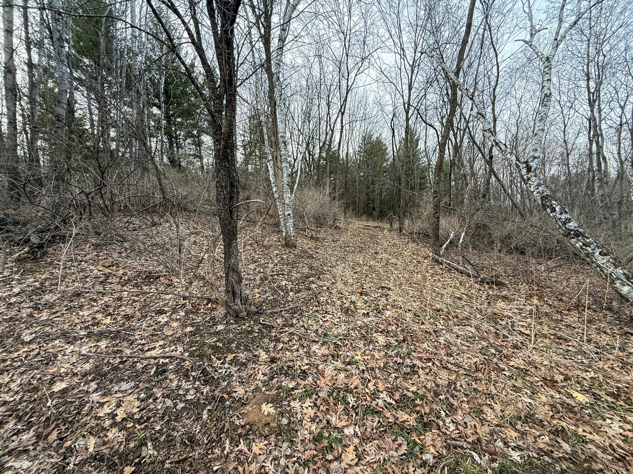 11719 Ridgeview Road Hokah, MN 55941 - Photo 76 of 100