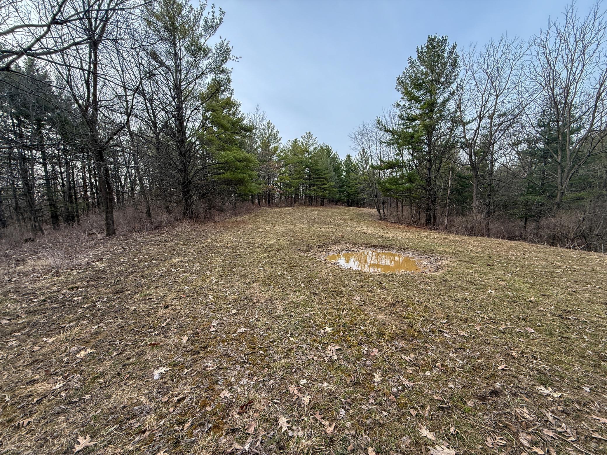 11719 Ridgeview Road Hokah, MN 55941 - Photo 77 of 100