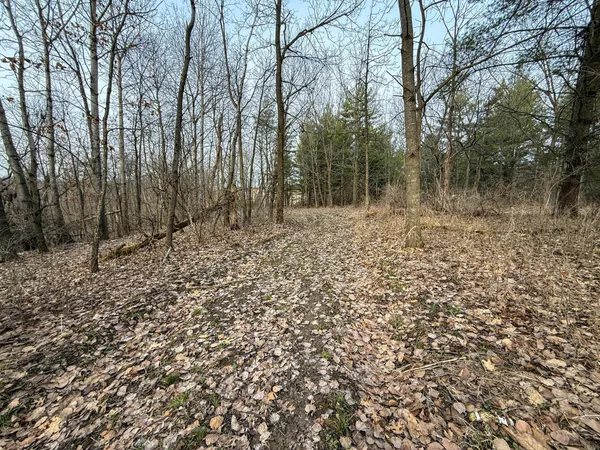 $2,000,000 | 11719 Ridgeview Road, Hokah, MN 55941