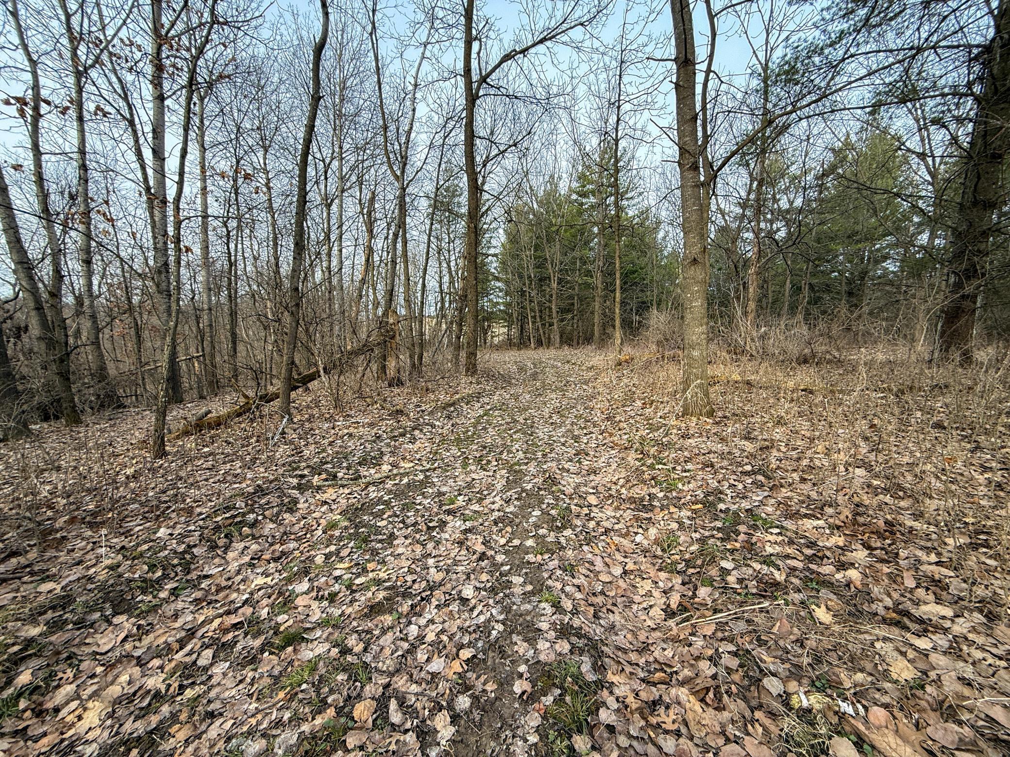 11719 Ridgeview Road Hokah, MN 55941 - Photo 79 of 100