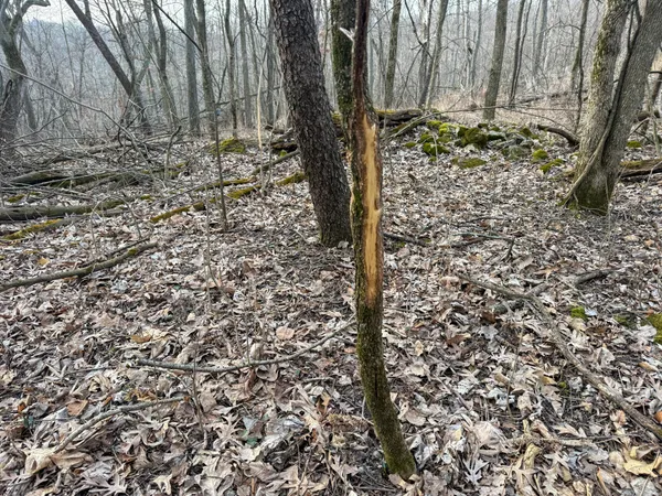 $2,000,000 | 11719 Ridgeview Road, Hokah, MN 55941