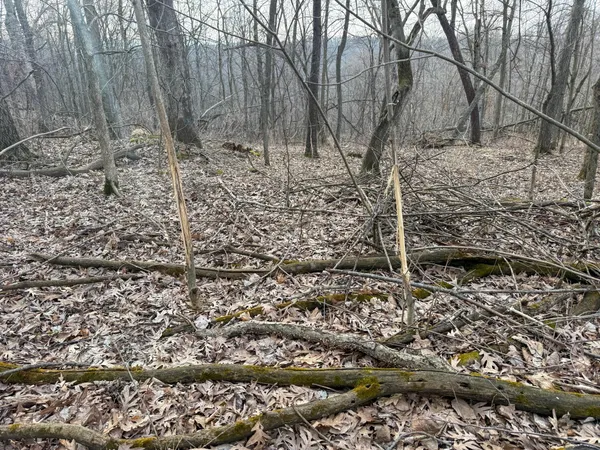 $2,000,000 | 11719 Ridgeview Road, Hokah, MN 55941