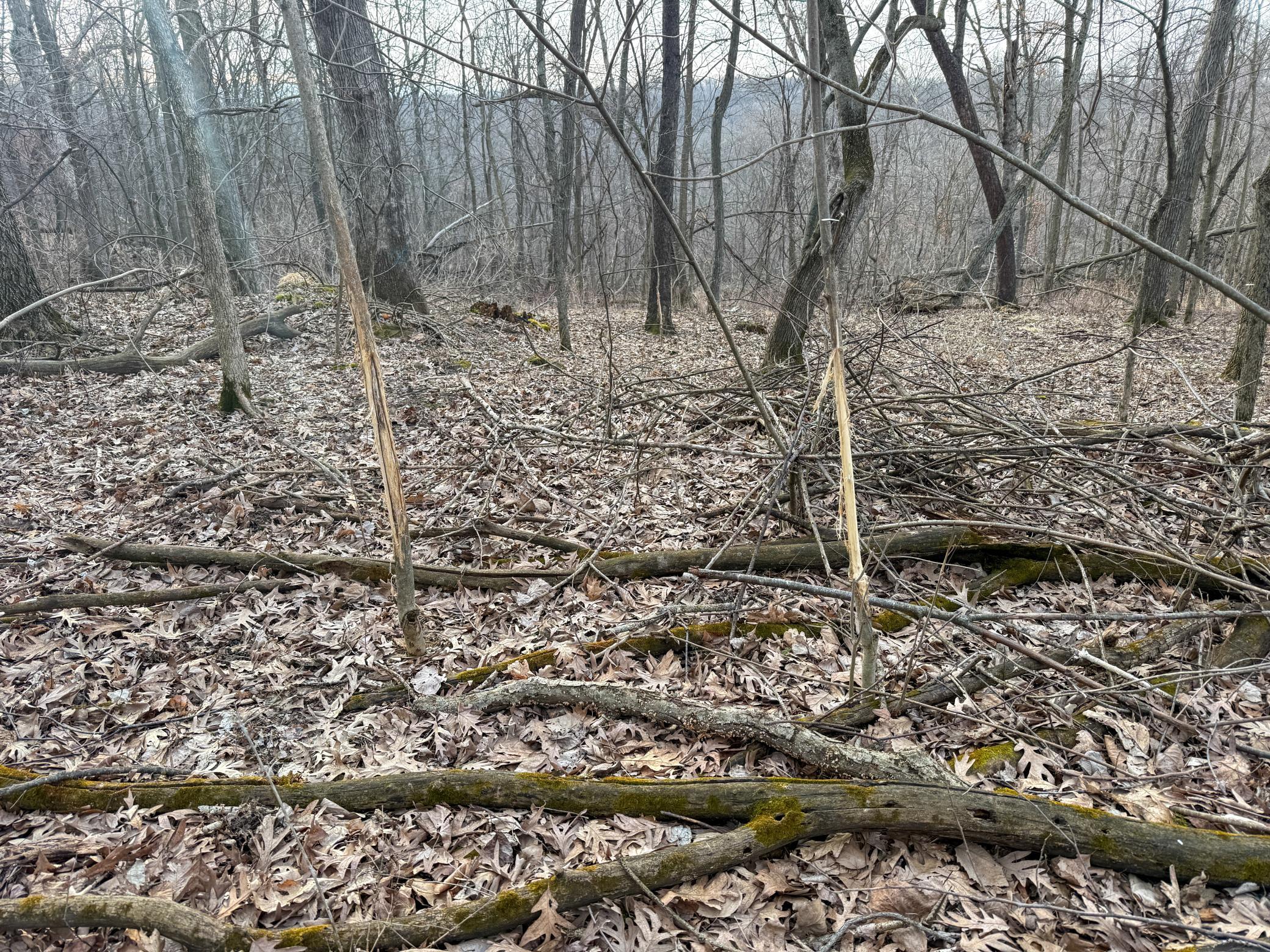 11719 Ridgeview Road Hokah, MN 55941 - Photo 81 of 100