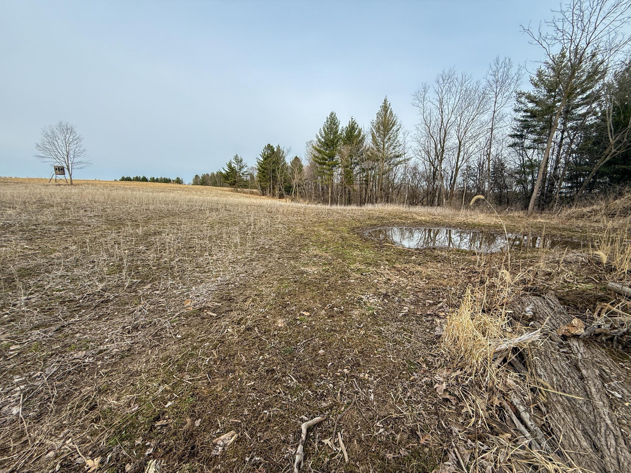 11719 Ridgeview Road Hokah, MN 55941 - Photo 82 of 100