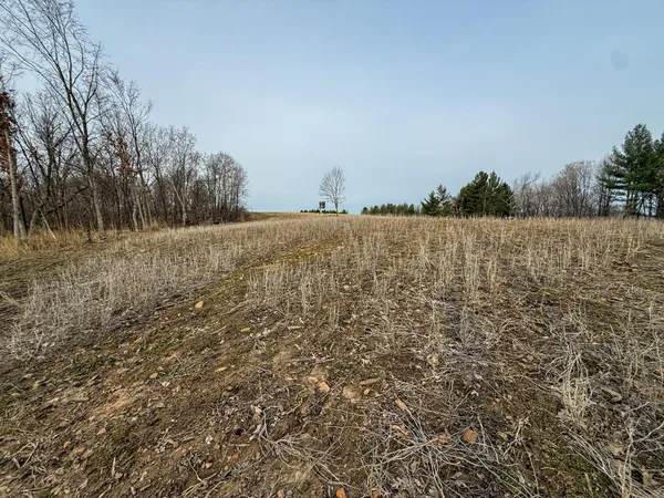 $2,000,000 | 11719 Ridgeview Road, Hokah, MN 55941