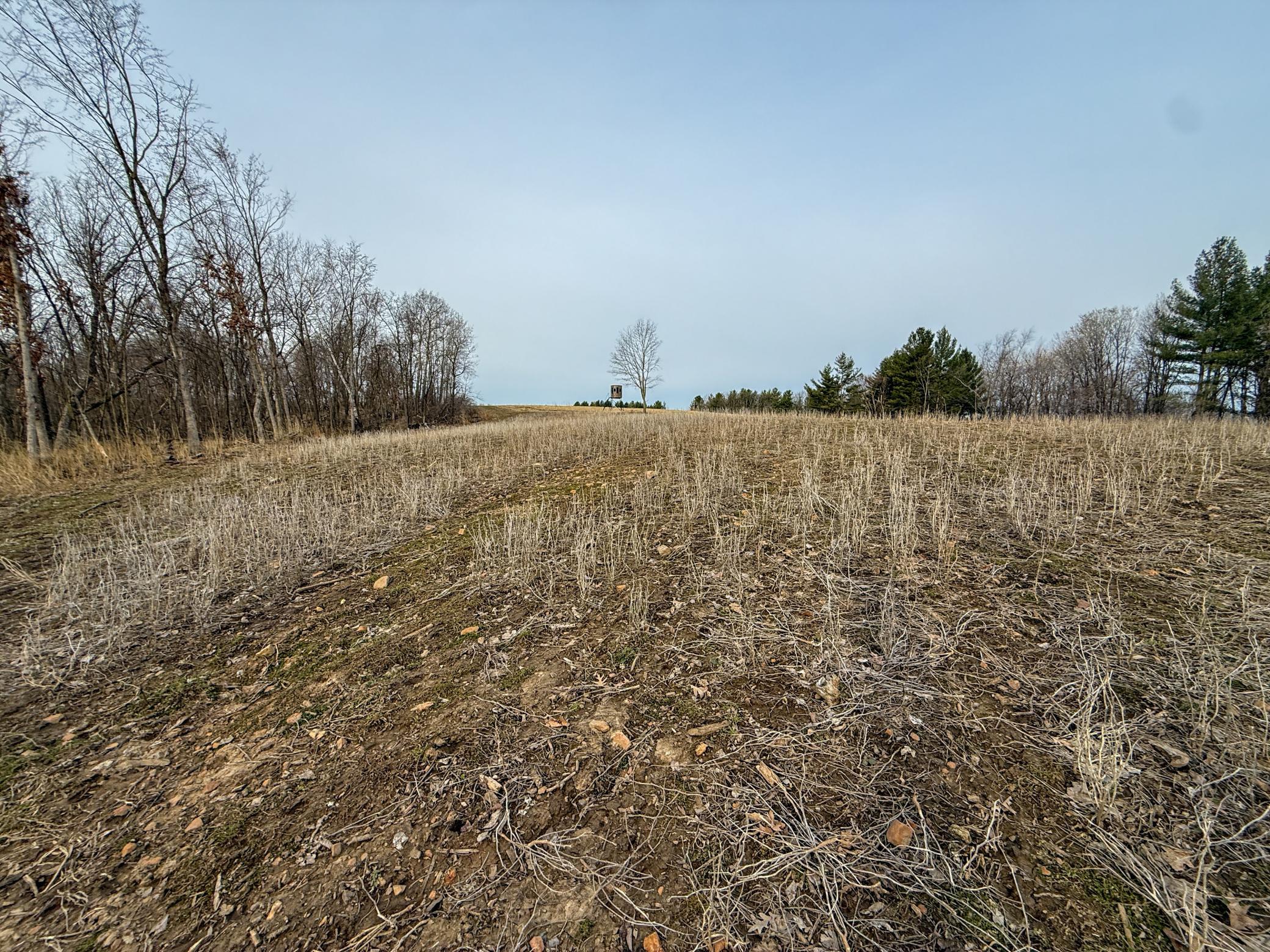 11719 Ridgeview Road Hokah, MN 55941 - Photo 83 of 100