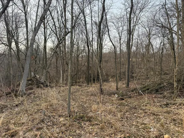 $2,000,000 | 11719 Ridgeview Road, Hokah, MN 55941