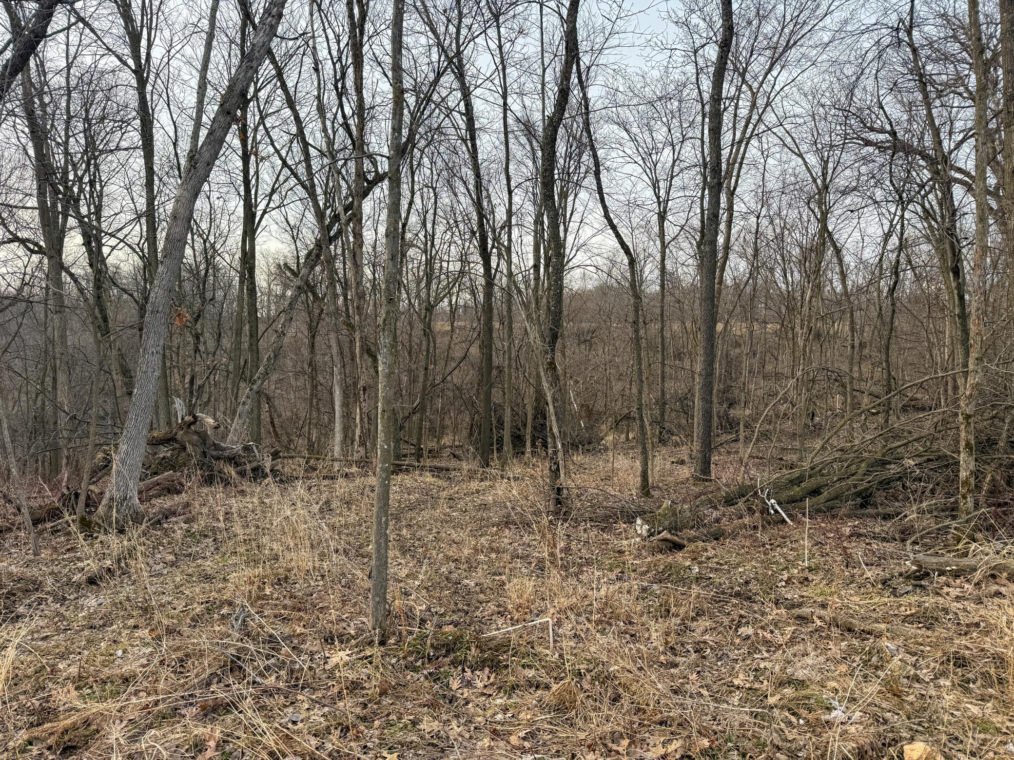 11719 Ridgeview Road Hokah, MN 55941 - Photo 84 of 100