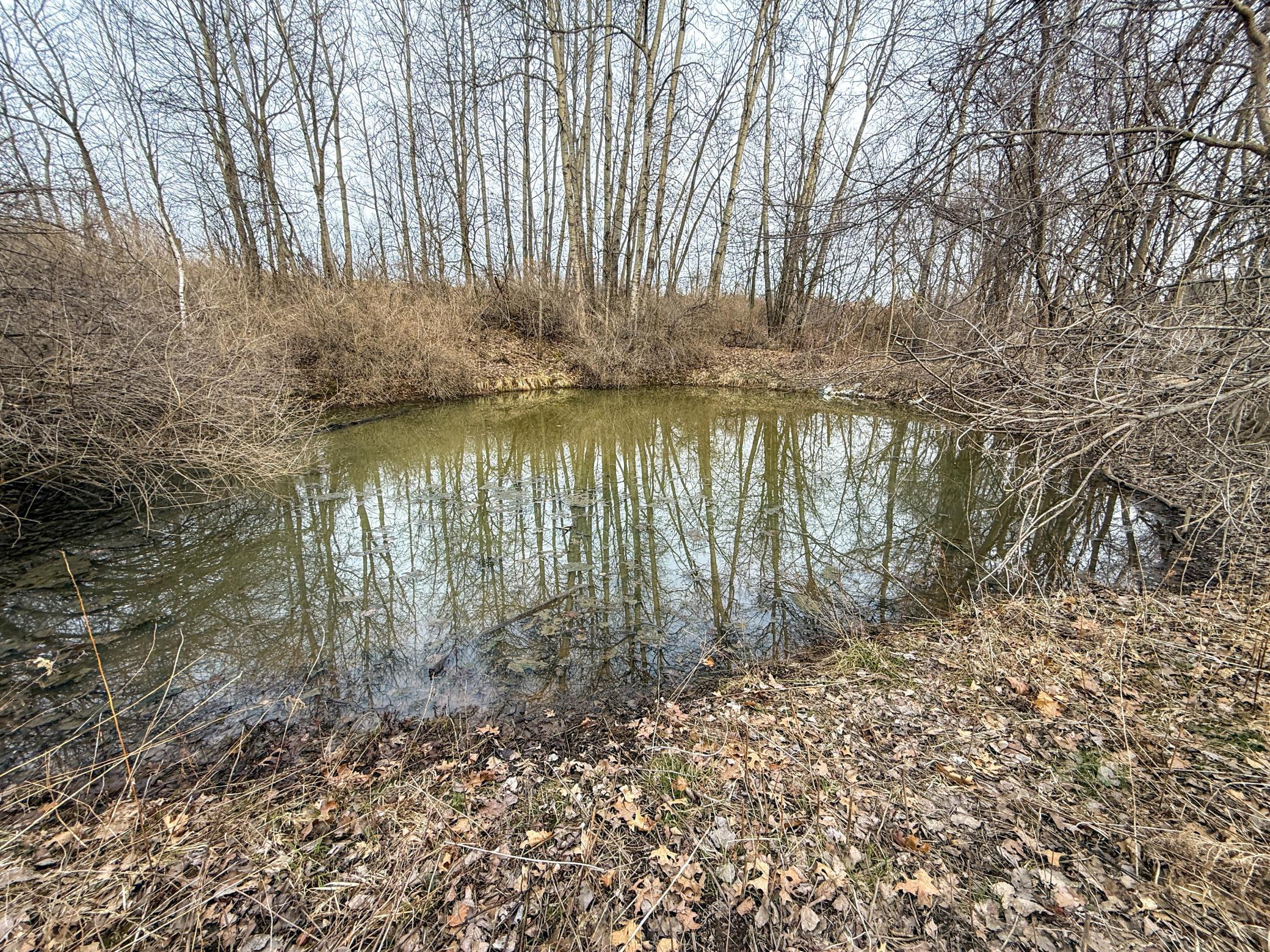 11719 Ridgeview Road Hokah, MN 55941 - Photo 85 of 100