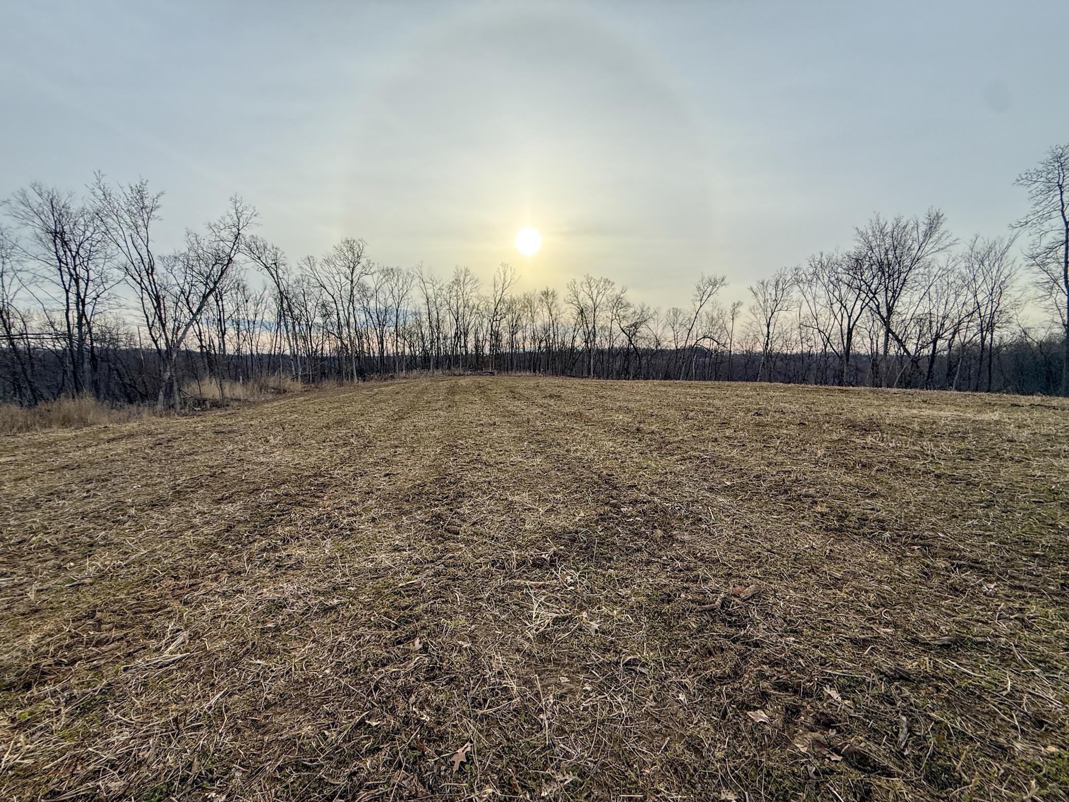 11719 Ridgeview Road Hokah, MN 55941 - Photo 86 of 100