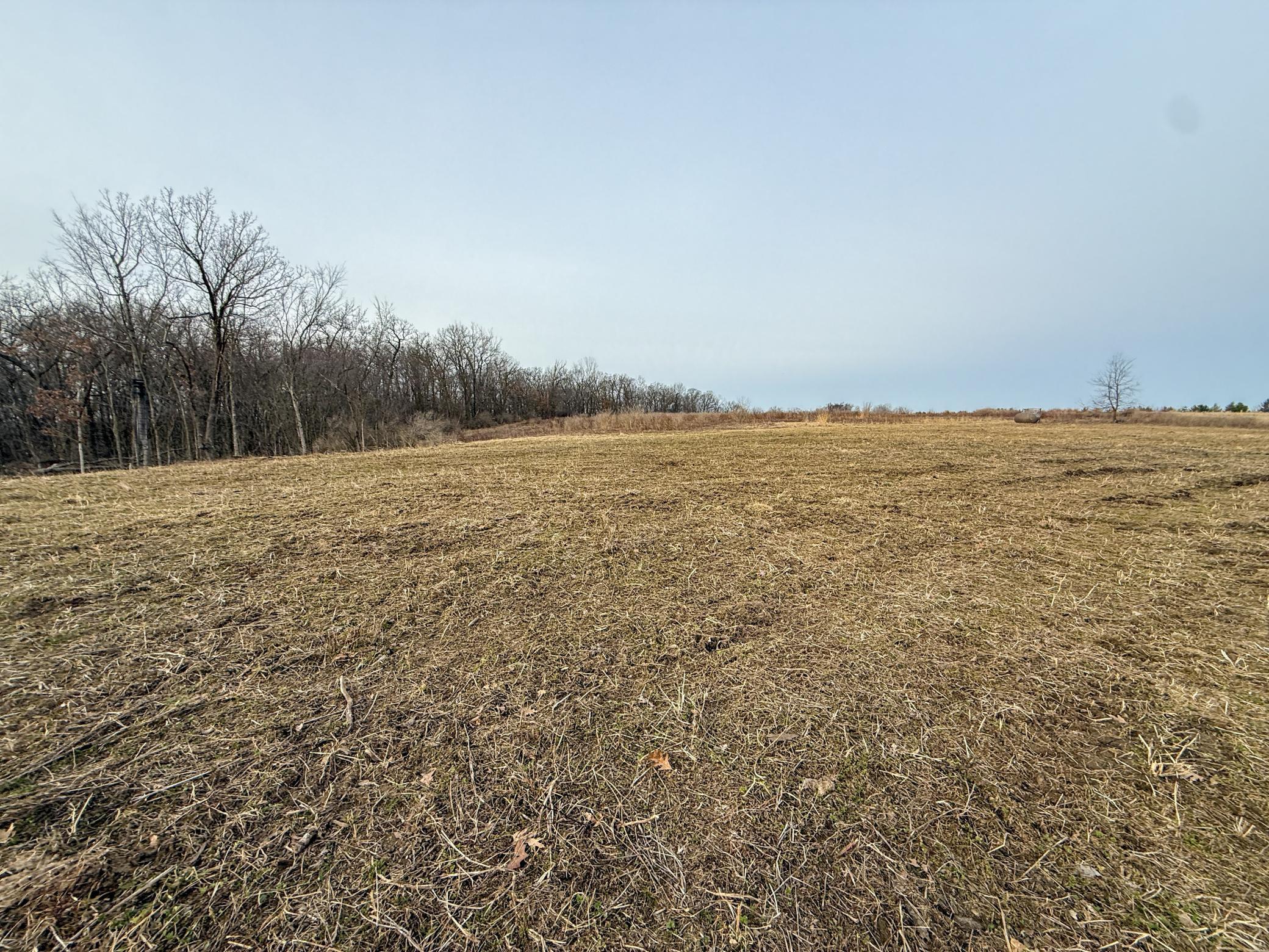 11719 Ridgeview Road Hokah, MN 55941 - Photo 87 of 100