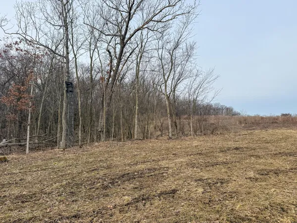 $2,000,000 | 11719 Ridgeview Road, Hokah, MN 55941