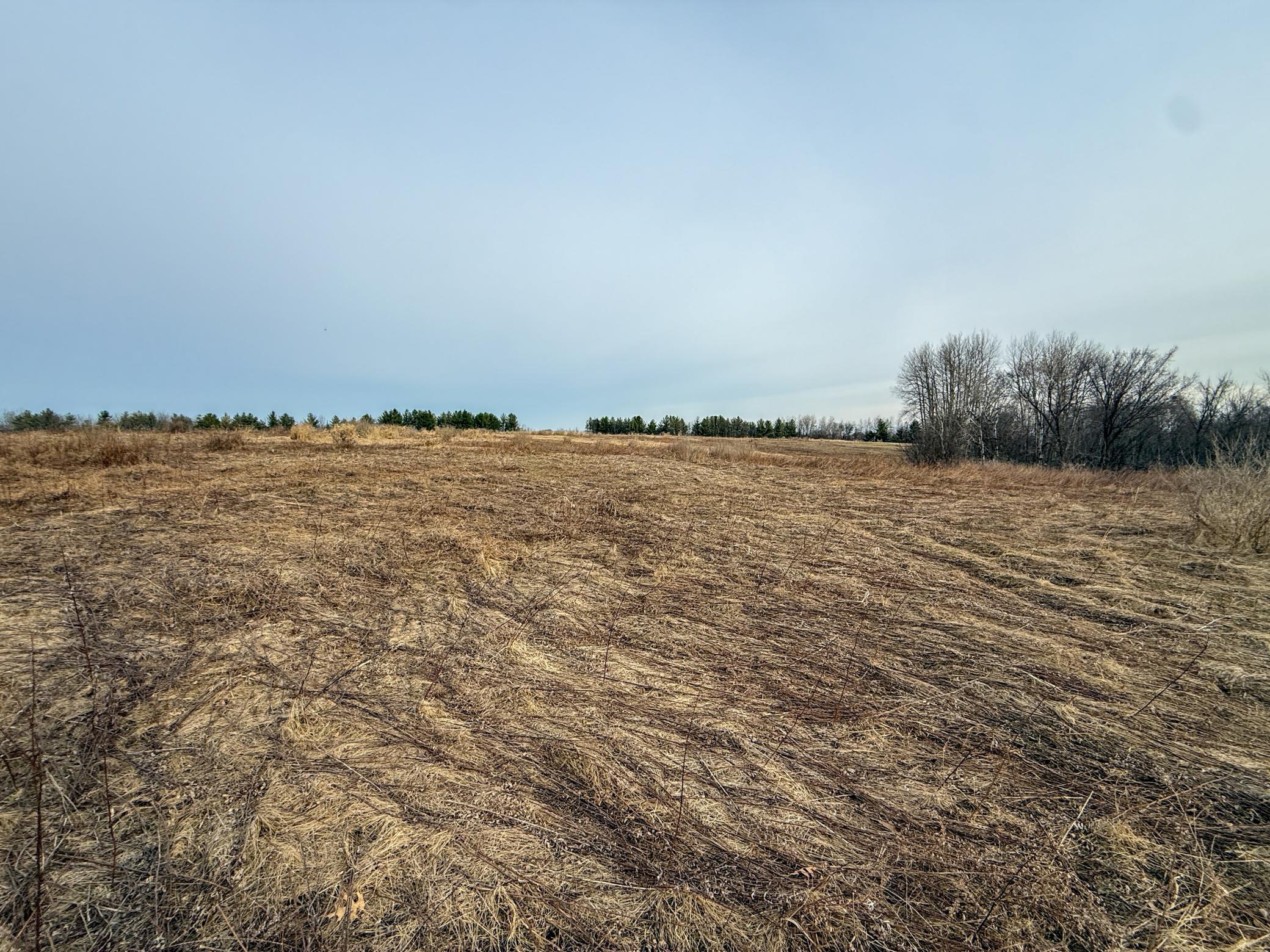 11719 Ridgeview Road Hokah, MN 55941 - Photo 89 of 100