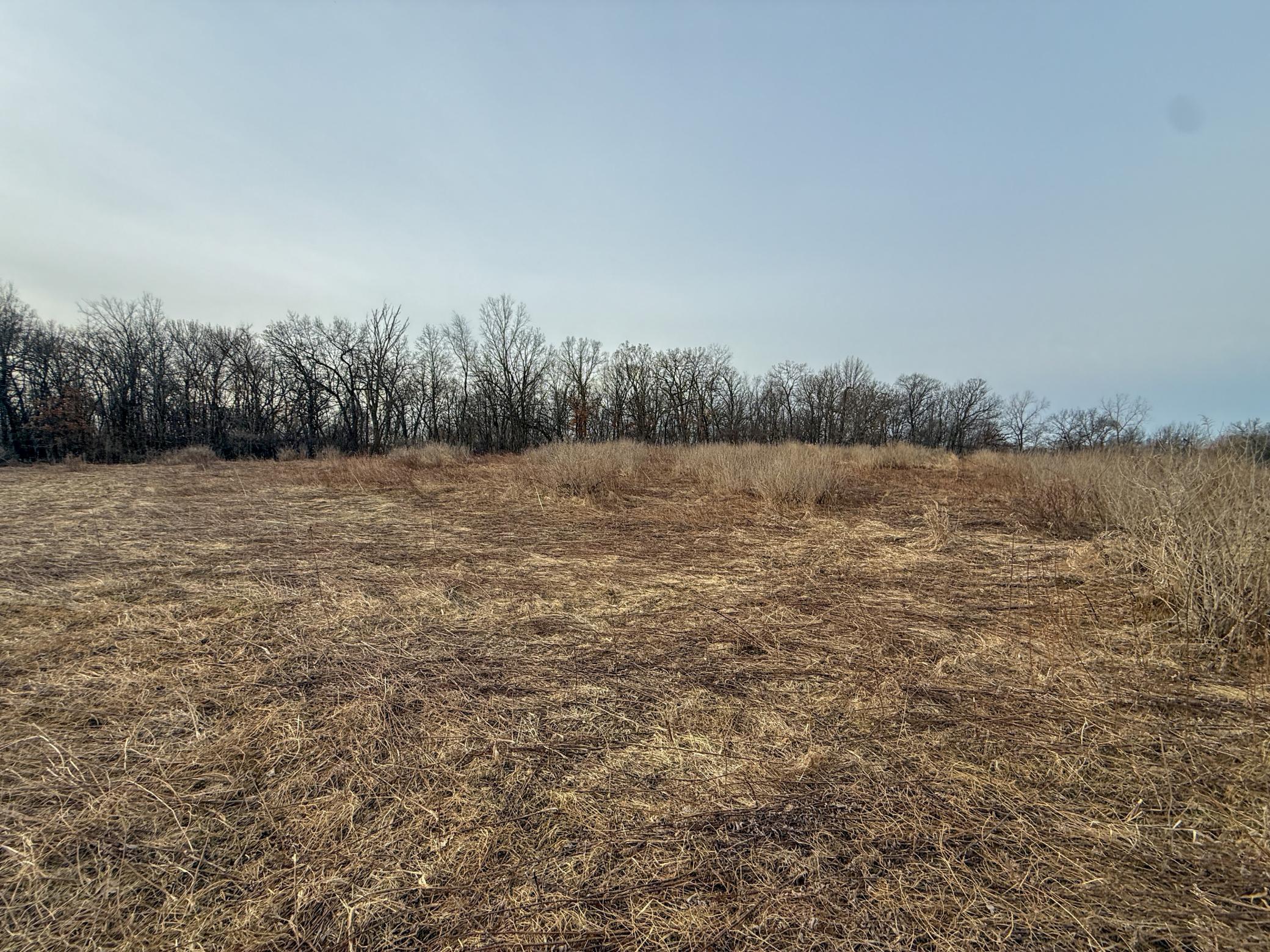 11719 Ridgeview Road Hokah, MN 55941 - Photo 90 of 100