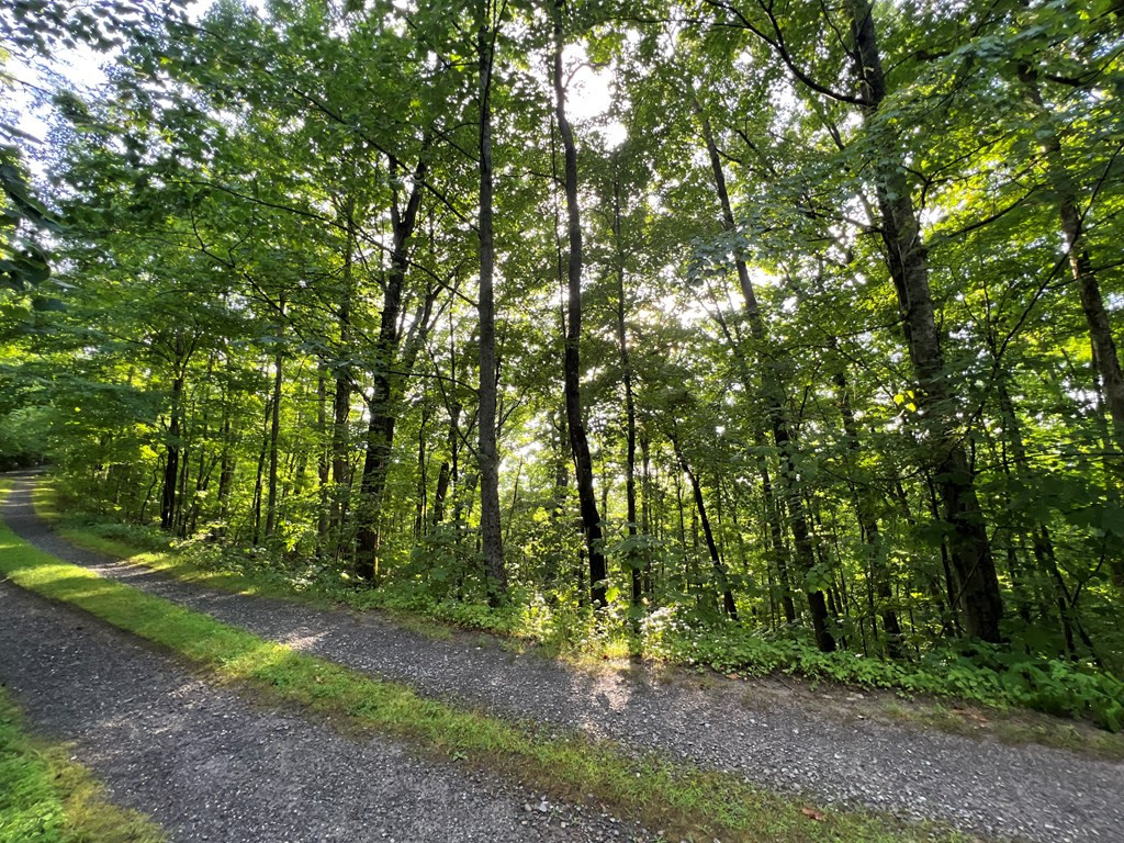 0 Laurel Drive Marble, NC 28905 - Photo 18 of 42