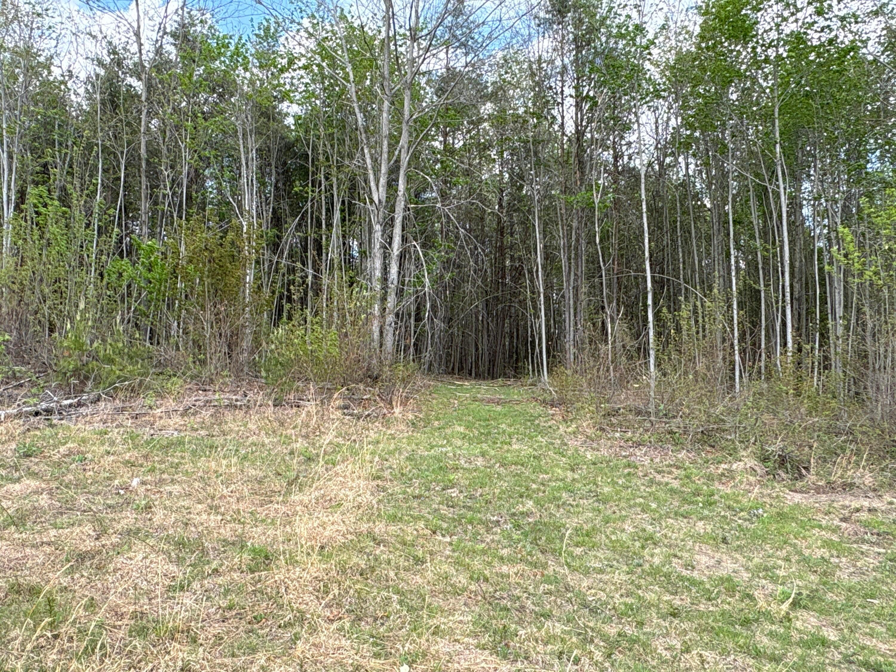 179 Pyle Road Lucasville, OH 45648 - Photo 20 of 32 IMG_2493