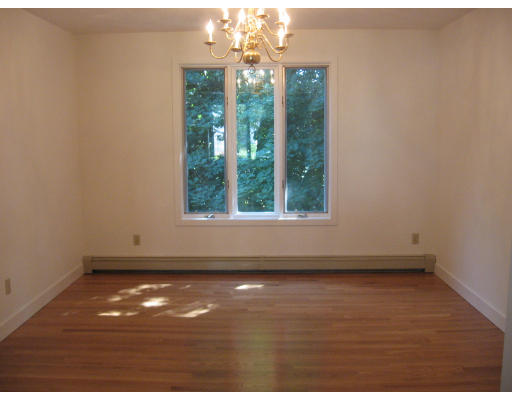 62 Cummings Road Newton, MA 02459 - Photo 4 of 7