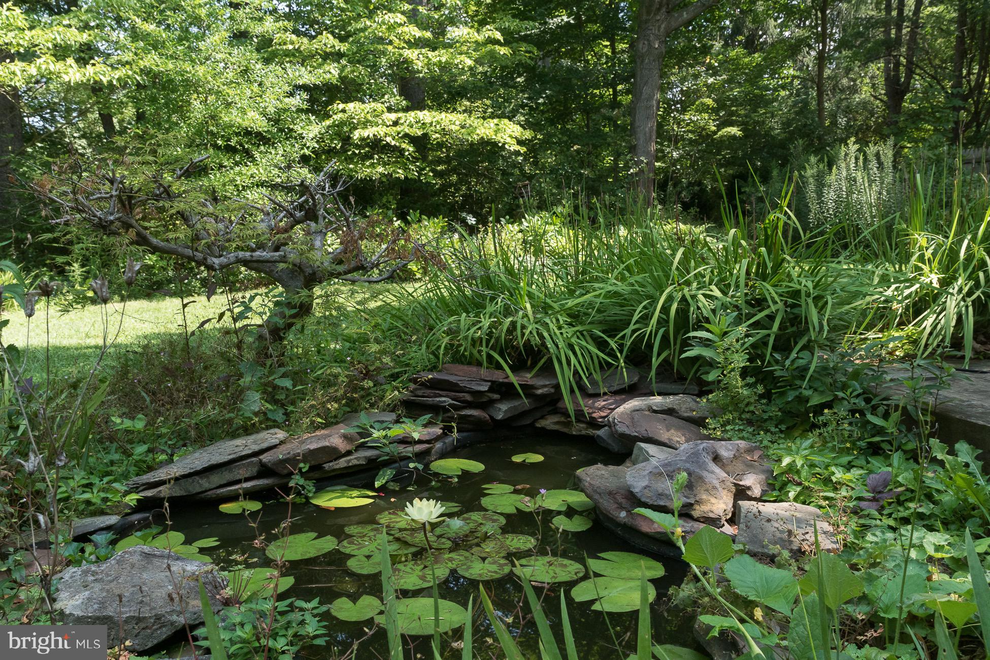96 Hun Road Princeton, NJ 08540 - Photo 23 of 38 Koi Pond