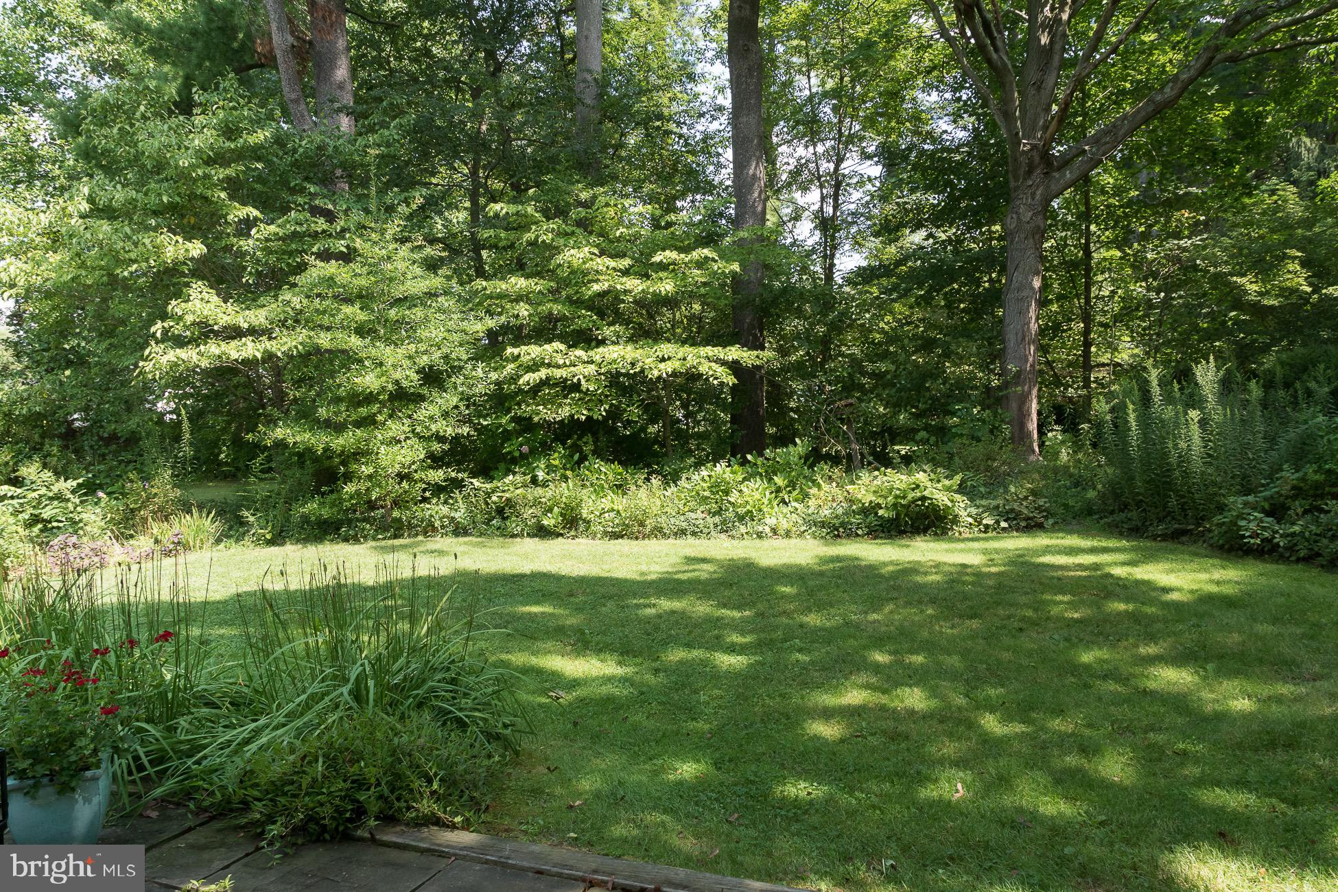 96 Hun Road Princeton, NJ 08540 - Photo 30 of 38 Wooded glen